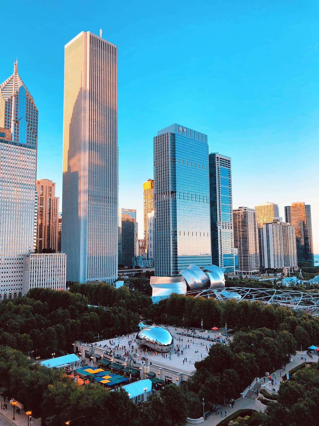 Chicago skyline — AONL 2026 location